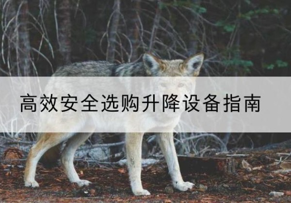 阳泉升降货梯厂家推荐-*安全选购升降设备指南
