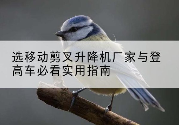 阳泉电动升降机厂家-选移动剪叉升降机厂家与登高车必看实用指南